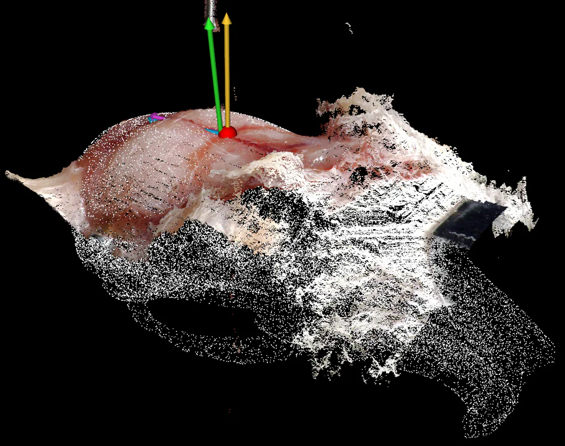 Mouse-head point cloud and coordinate reconstruction