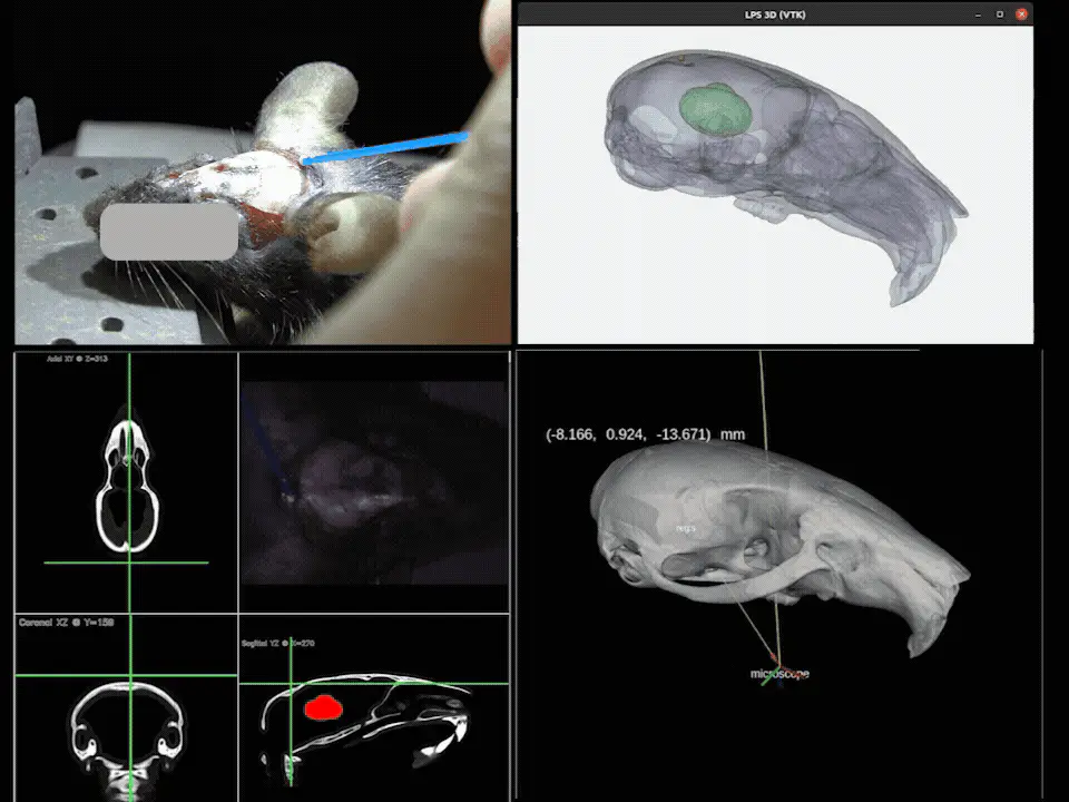Dynamic demonstration of single-point mouse tracking