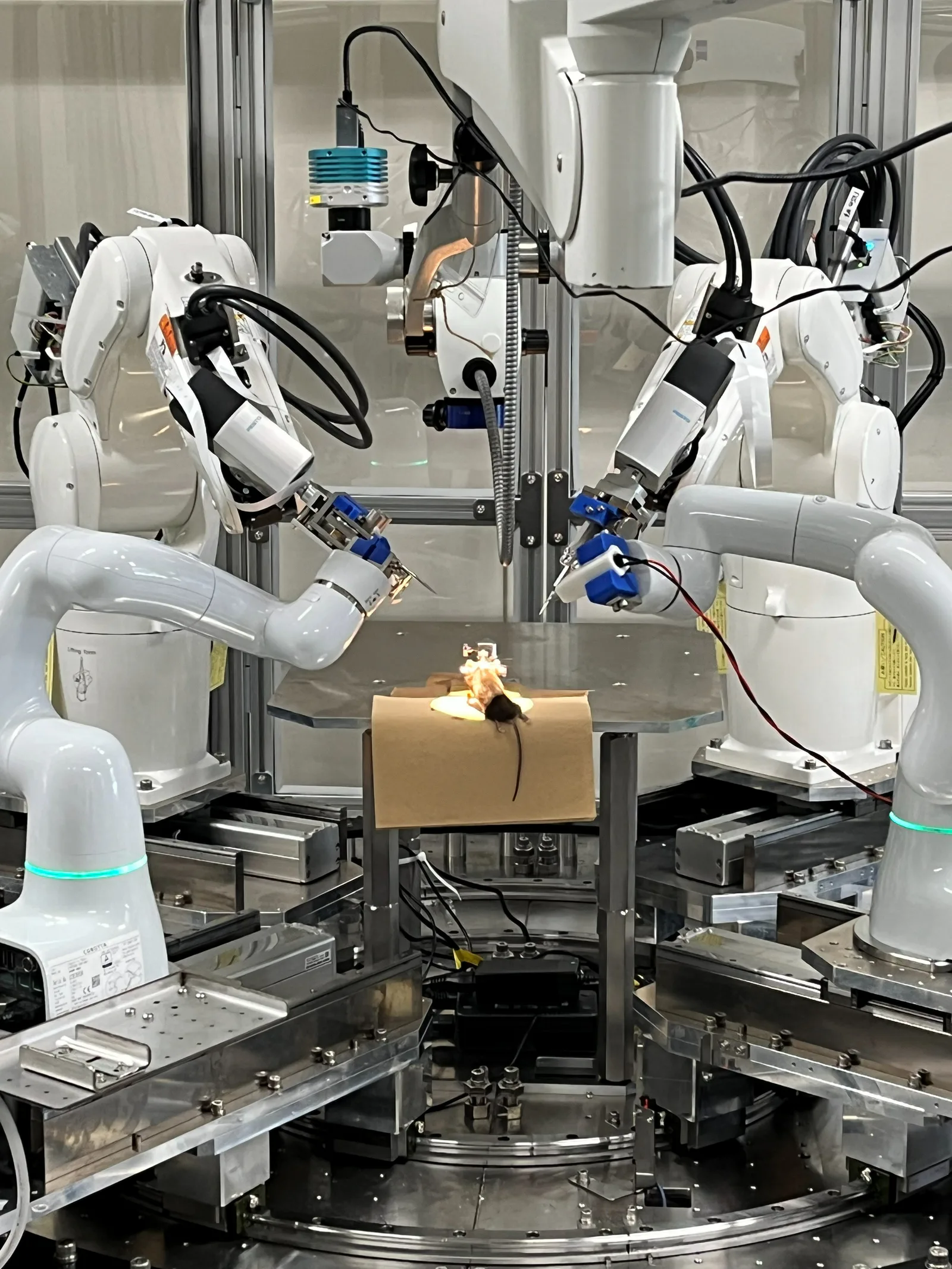 Robot performing a mouse craniotomy with navigation assistance